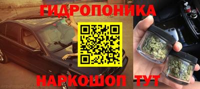 твердый Будённовск