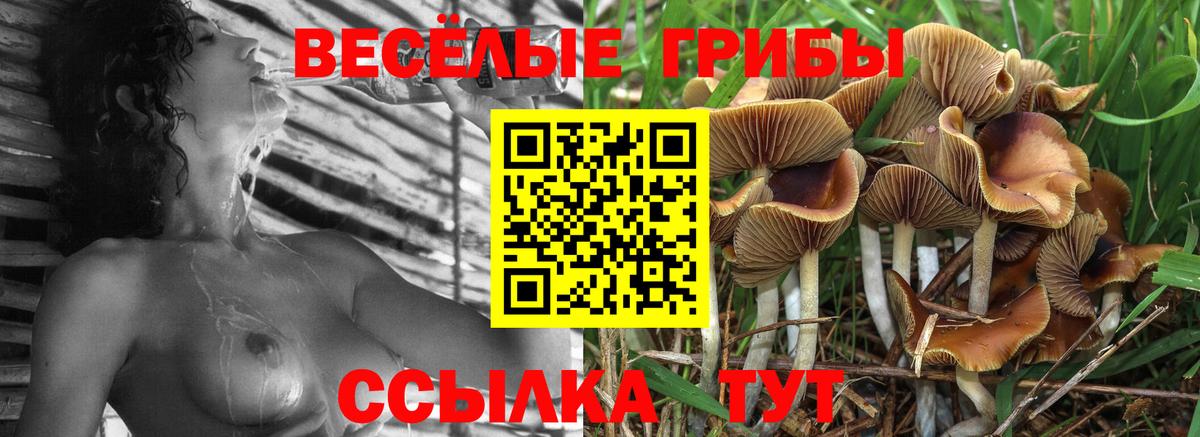 Галлюциногенные грибы прущие грибы  Вход с VPN  Лангепас 